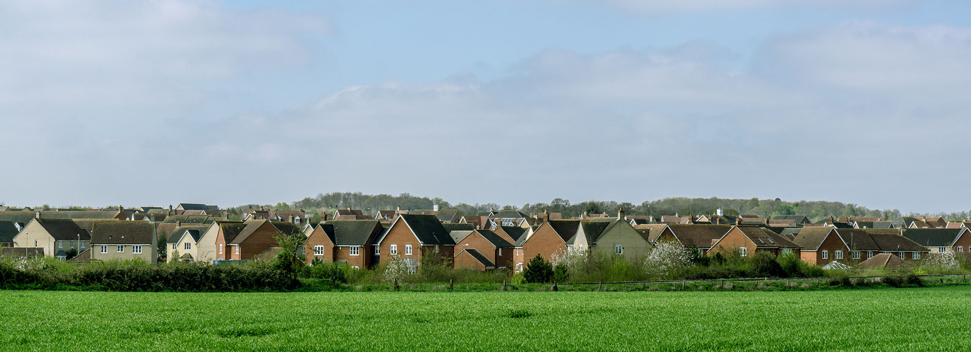 estate management estate management