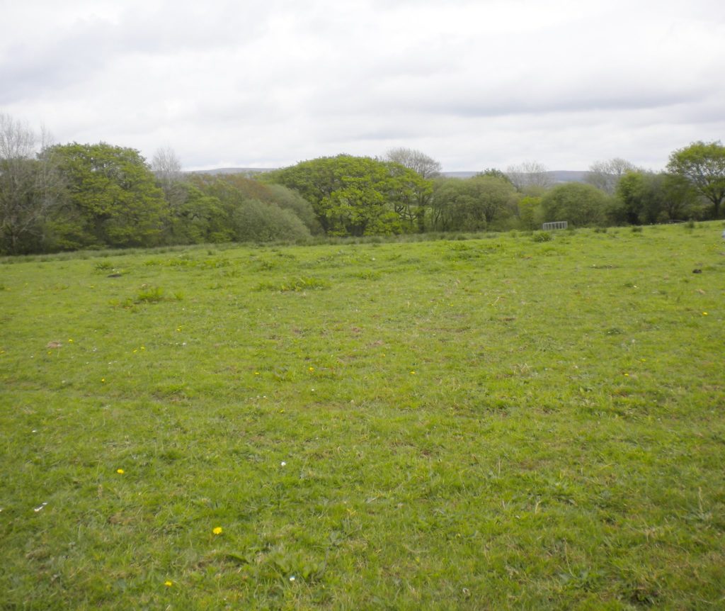 Land part of Treneddyn Farm, Pontarddulais Rees Richards & Partners