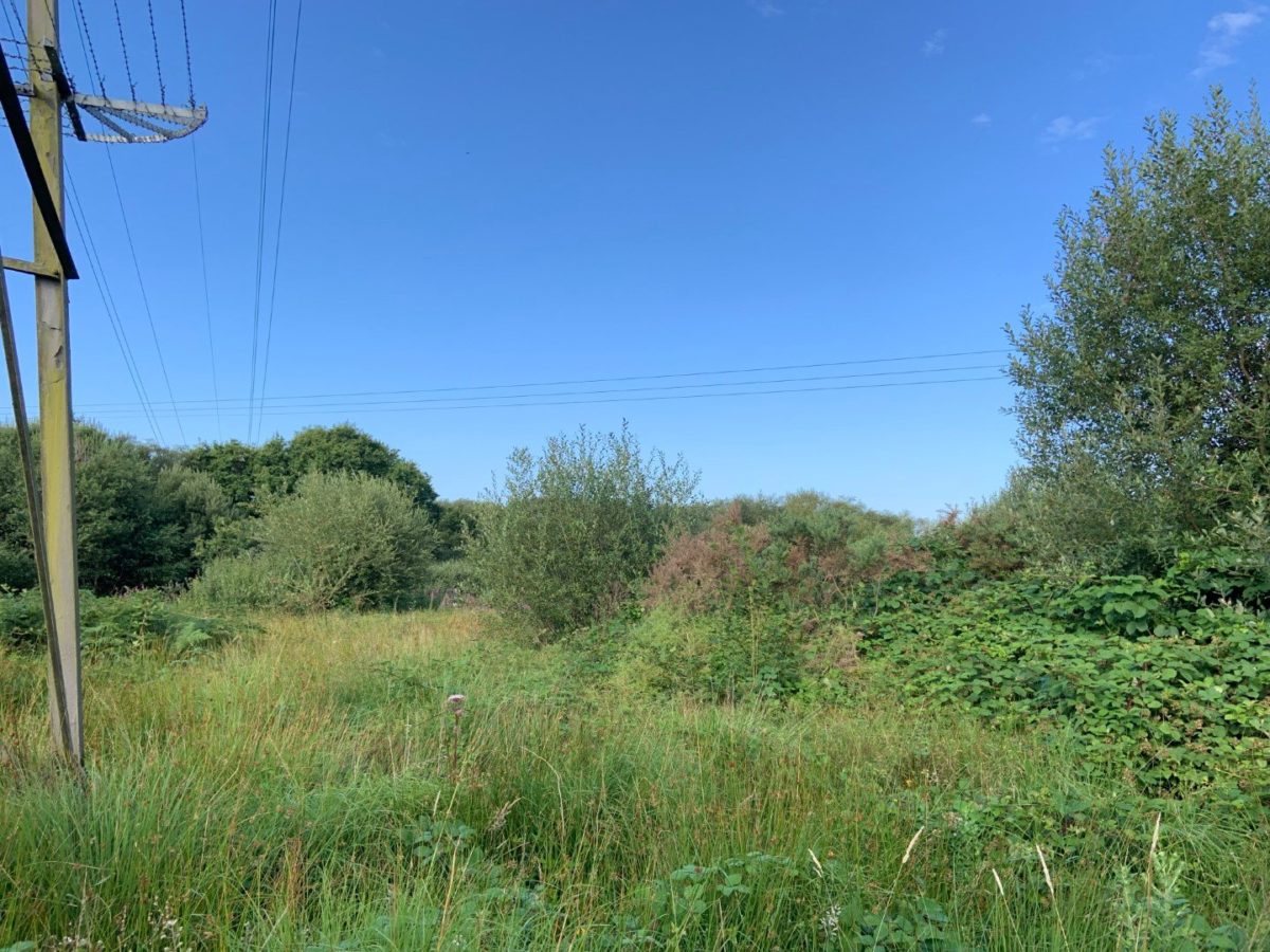 Llanedi, Pontarddulais Rees Richards & Partners