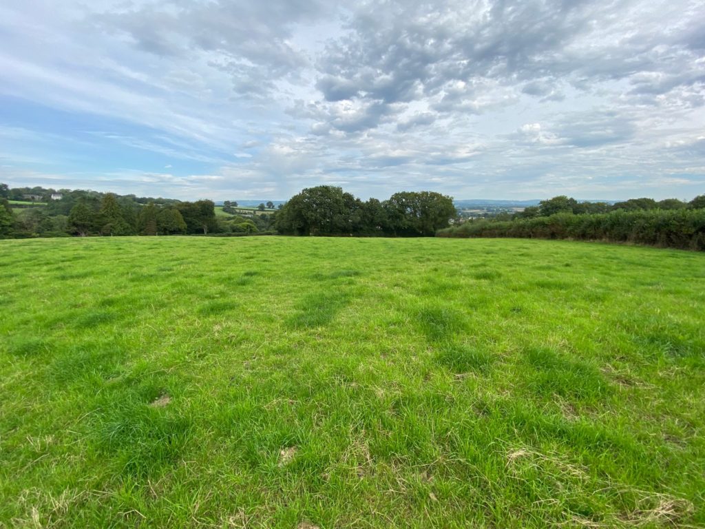 Llanarthney Rees Richards & Partners