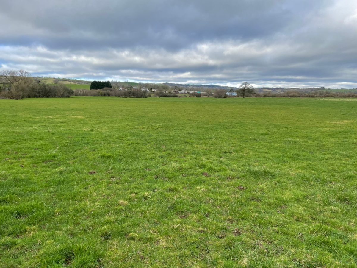 67 acres of Land at Banc Y Berllan, Rhosmaen, Llandeilo Rees Richards