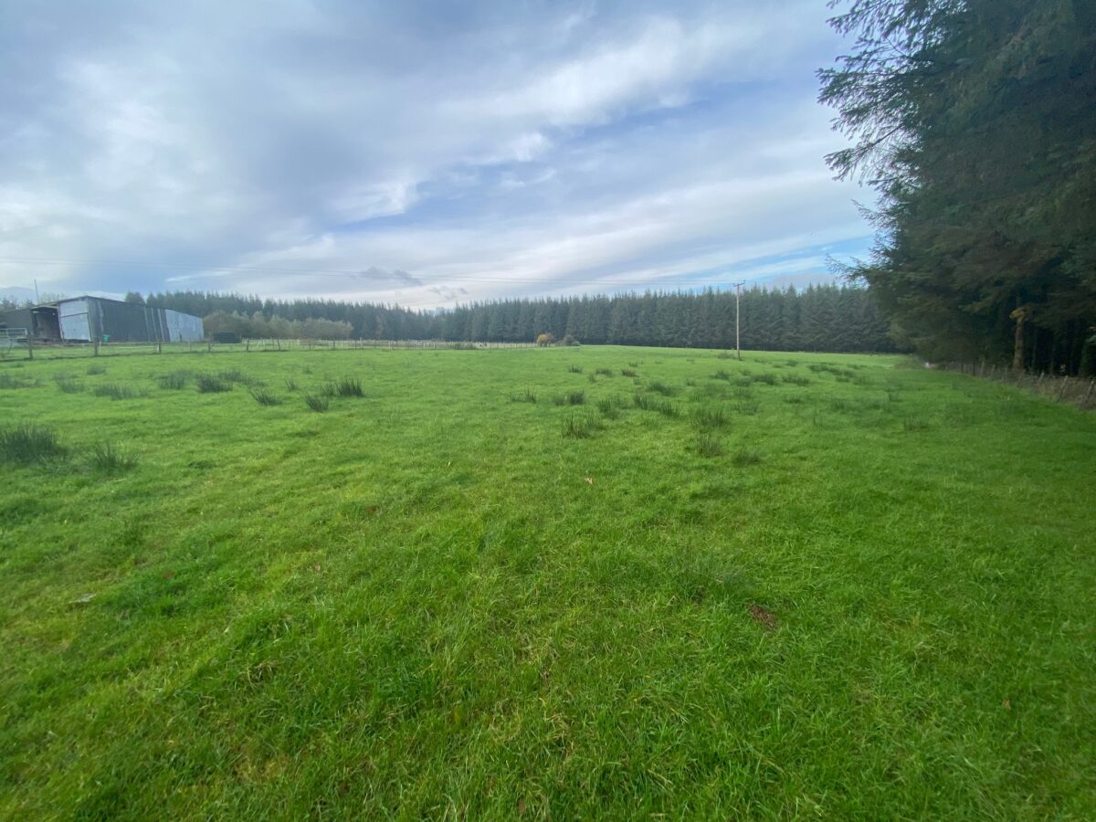 Trecastle, Brecon Rees Richards & Partners