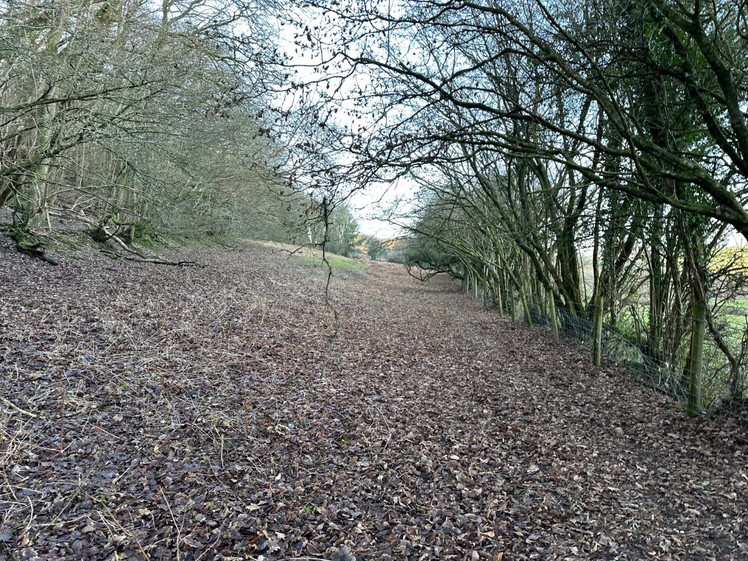 Llanddowror, St Clears Rees Richards & Partners