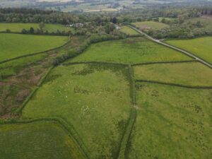 Golden Grove, Carmarthen