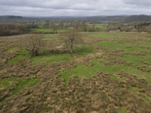 Golden Grove, Carmarthen