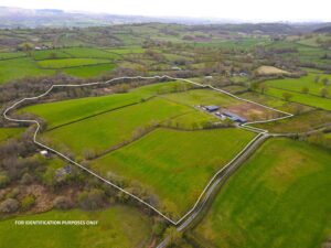 Taliaris, Llandeilo