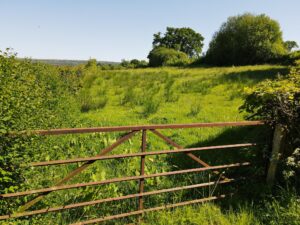 Gurrey Bank, Llandeilo