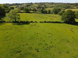 Gurrey Bank, Llandeilo