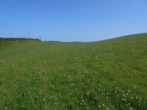 Felinfoel, Llanelli