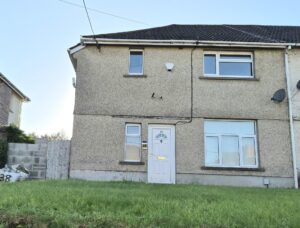 Mount Pleasant, Swansea