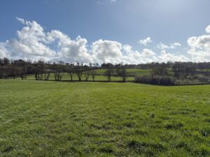 Molleston, Narberth