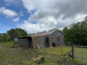 Ynyswen, Penycae