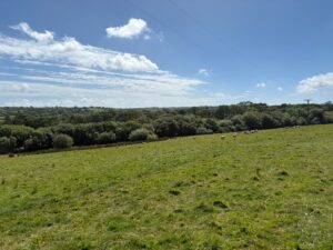 Martletwy, Narberth