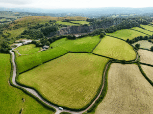 Trap, Llandeilo