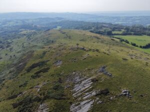 Trap, Llandeilo